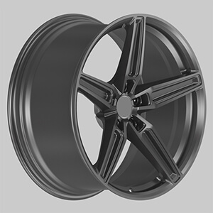 advan 5 spoke wheels